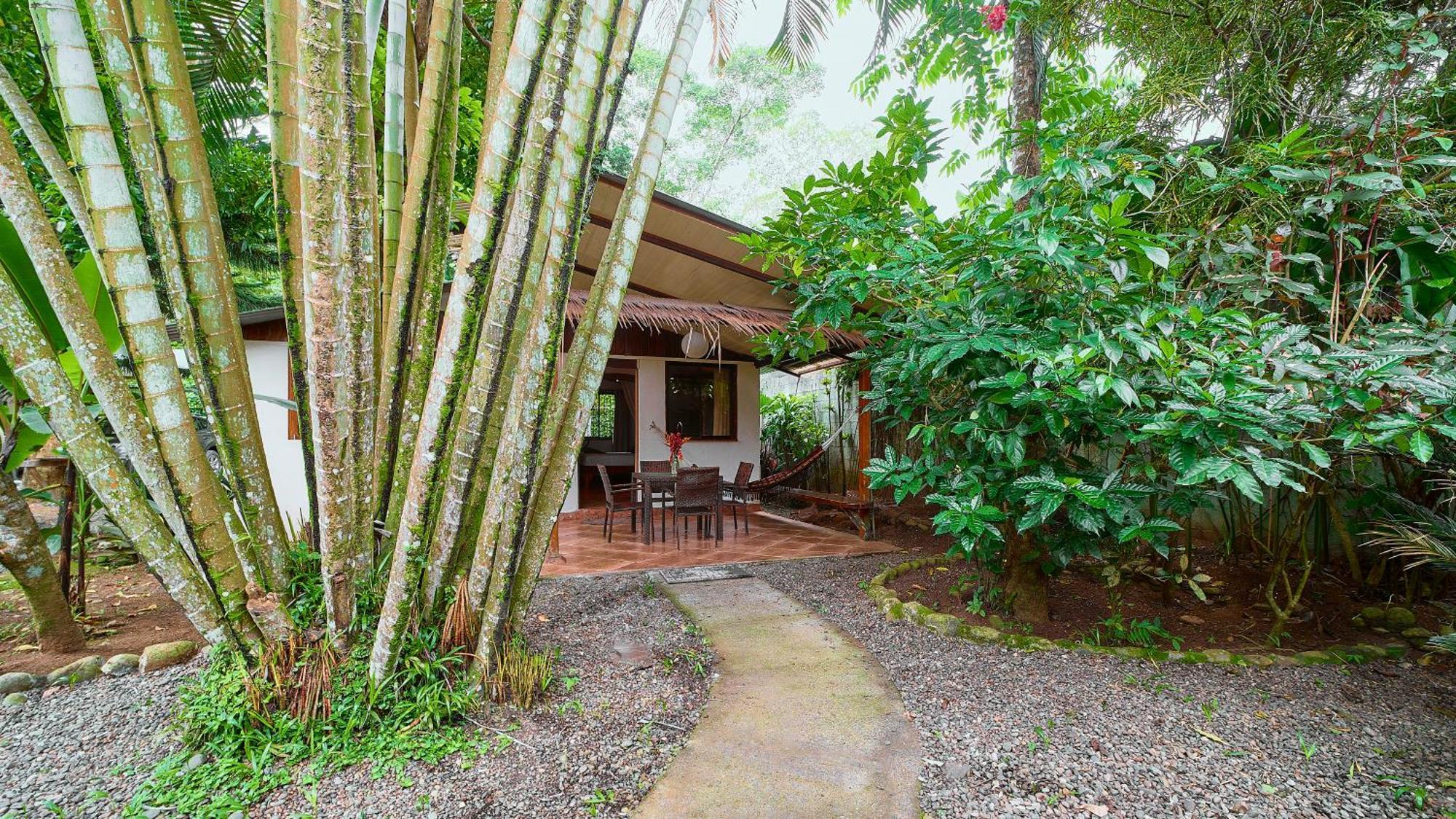 Cabinas Montesol Puerto Viejo de Talamanca Екстер'єр фото