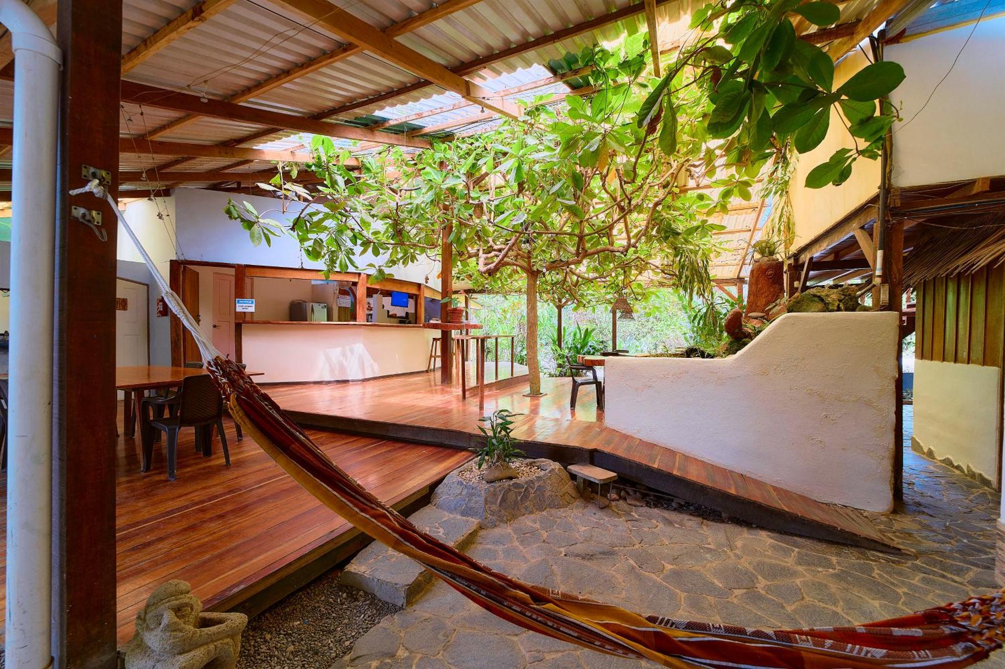 Cabinas Montesol Puerto Viejo de Talamanca Екстер'єр фото
